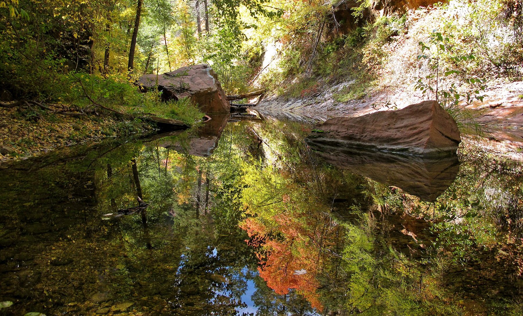 A still creek pool in a narrow wooded canyon mirrors yellow, green and orange autumn leaves; two large red sandstone boulders sit at the water's edge.