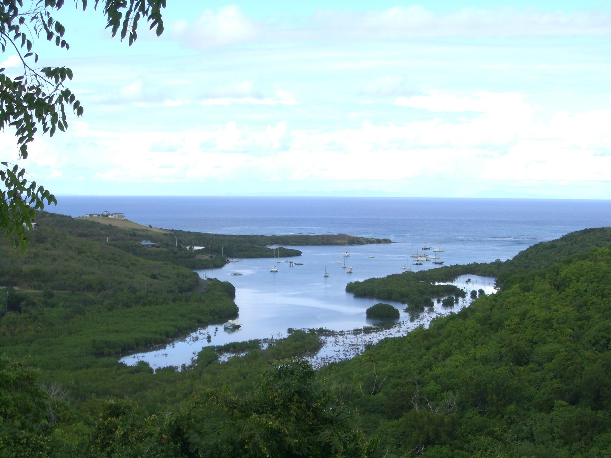 Salt River Bay on the north shore of St. Croix seen from a wooded hillside, with mangroves around the inner bay and sailboats moored near its mouth