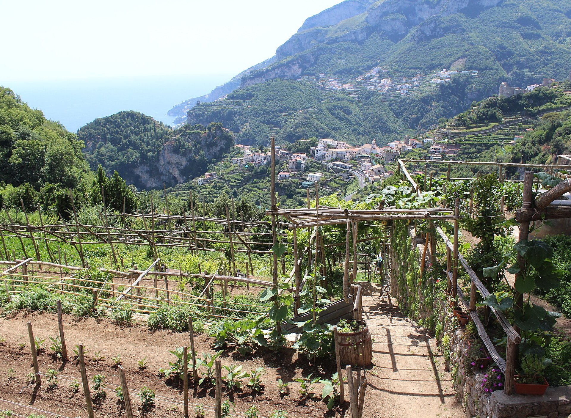 A terraced vegetable garden with wooden pergolas on a steep hillside above Ravello, with the mountains of the Amalfi Coast and a glimpse of the sea behind