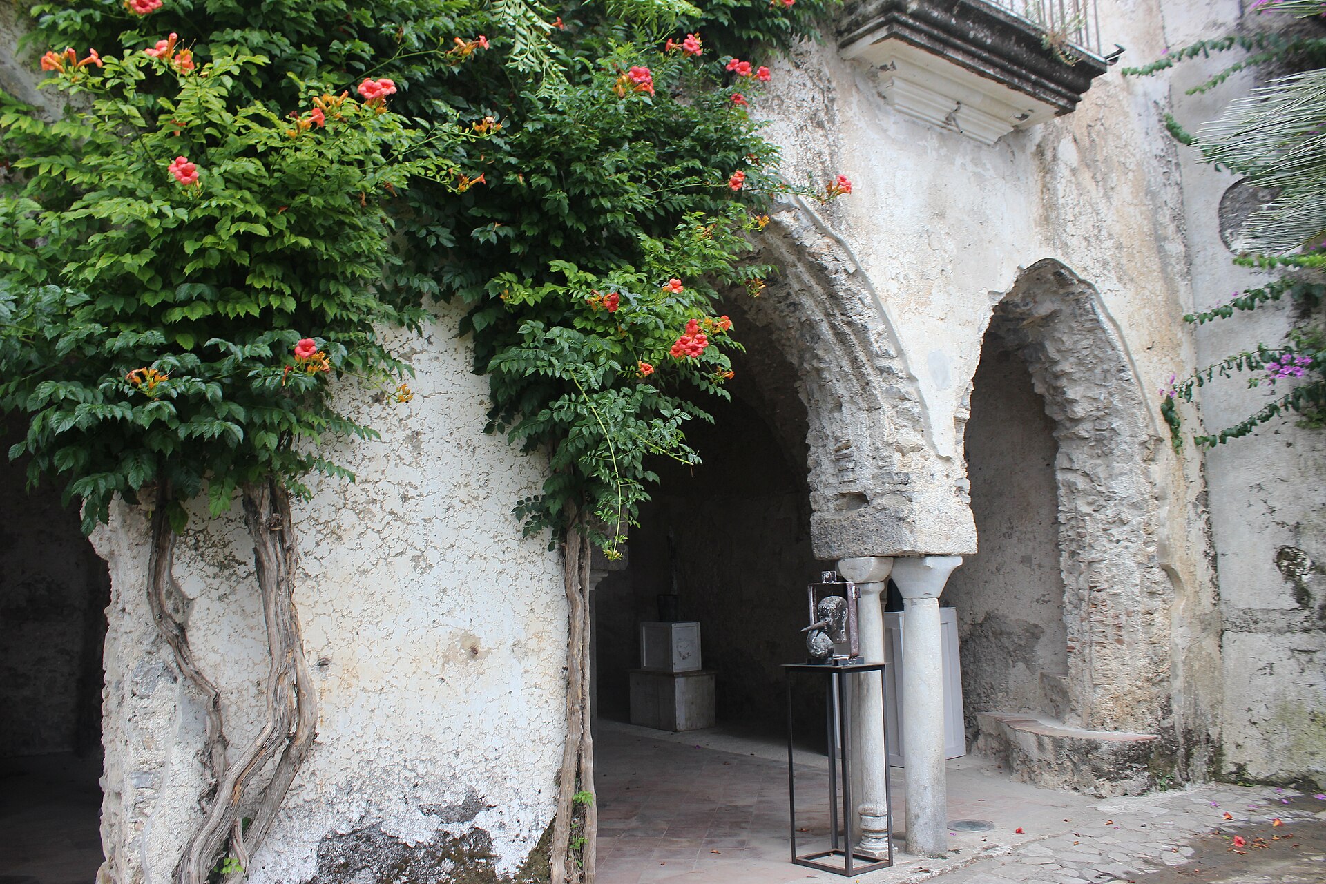The gardens of Villa Rufolo in Ravello with an umbrella pine and the coast and sea far below