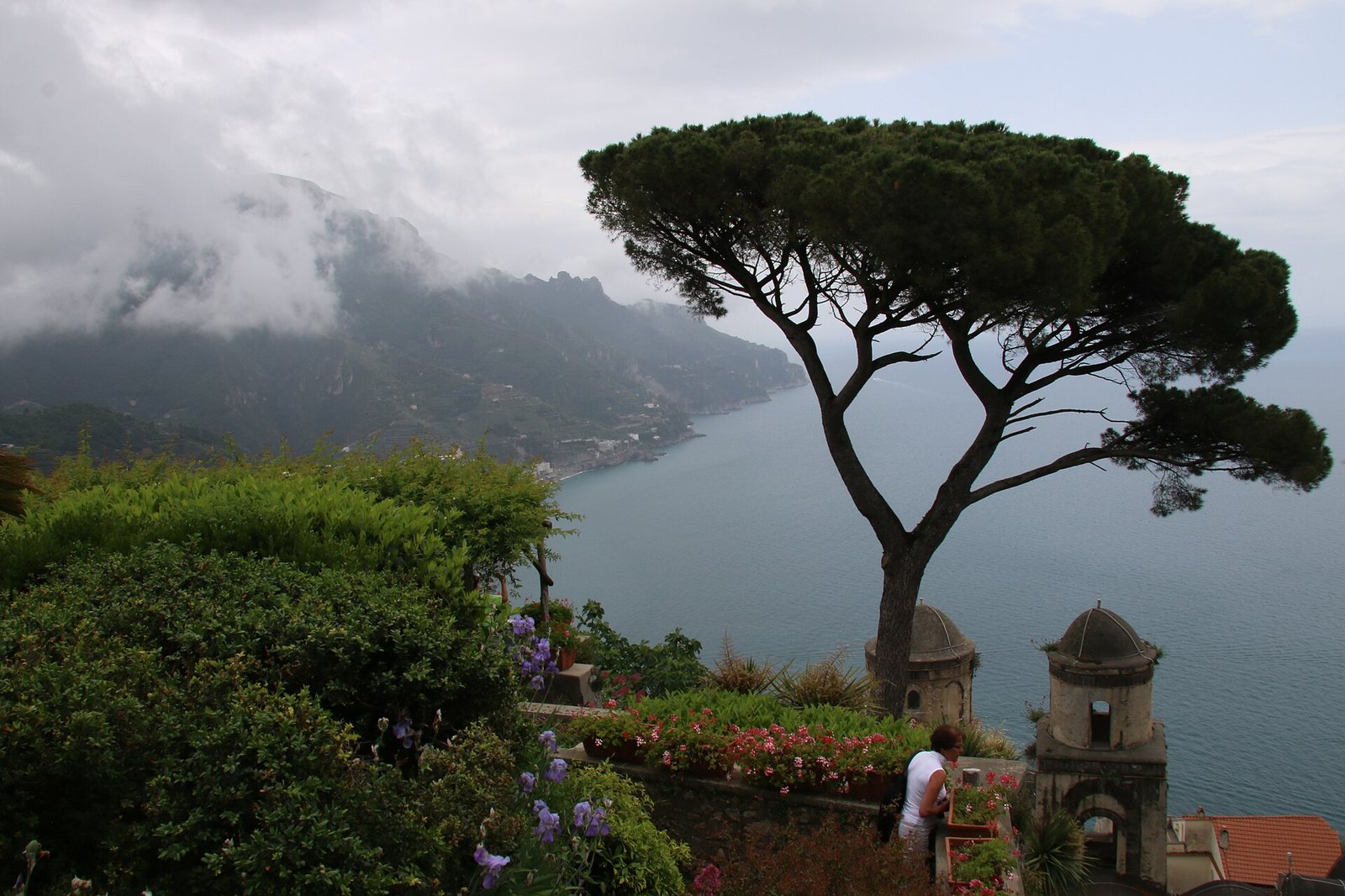 A large umbrella pine tree stands over a garden with flowers and two domed structures, overlooking a cloudy coastline and the sea. A person is visible in the garden.