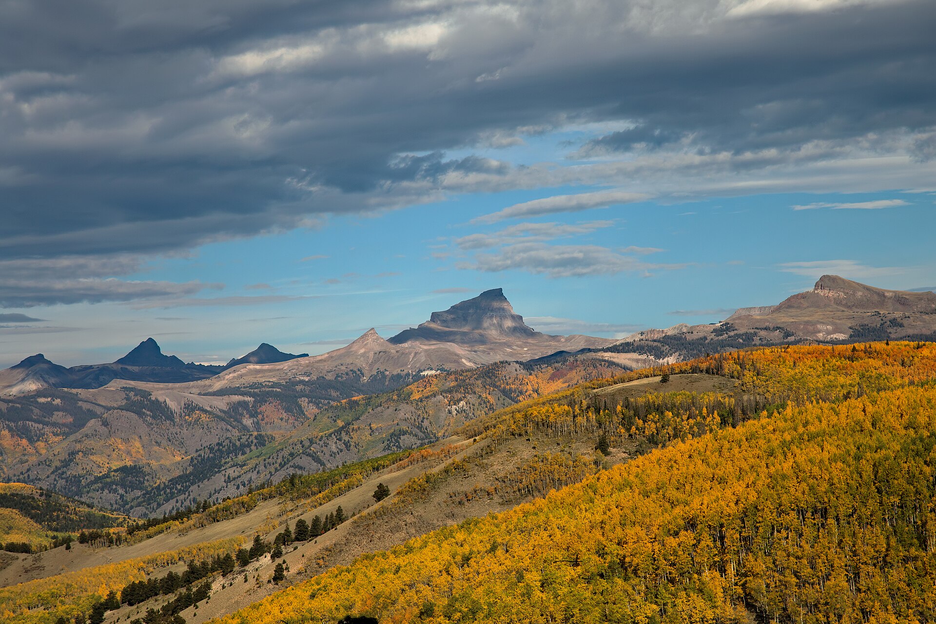 Green summer slopes and wildflowers above Aspen with high Elk Mountain peaks behind