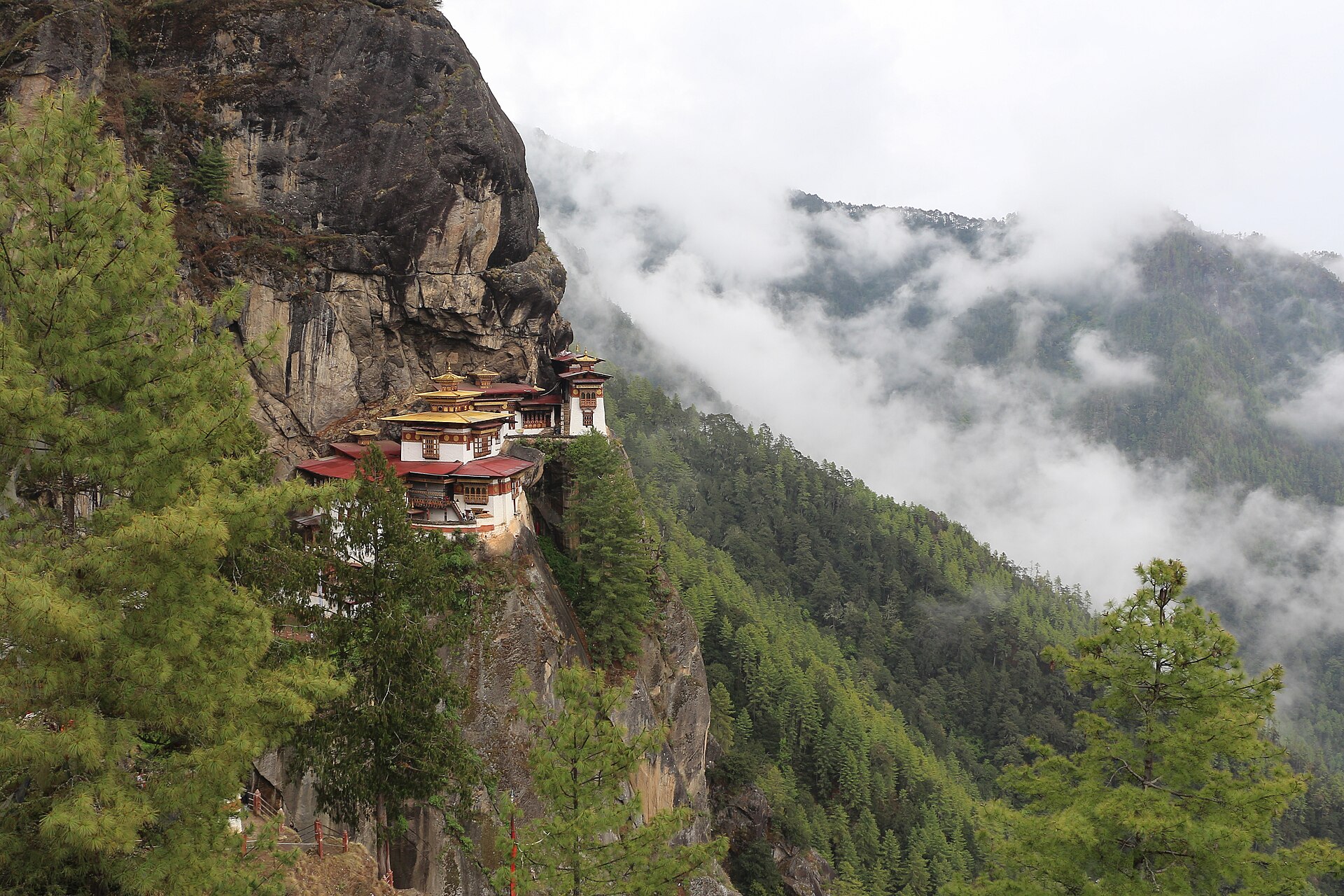The Tiger's Nest monastery clinging to a cliff face high above the forested Paro valley.