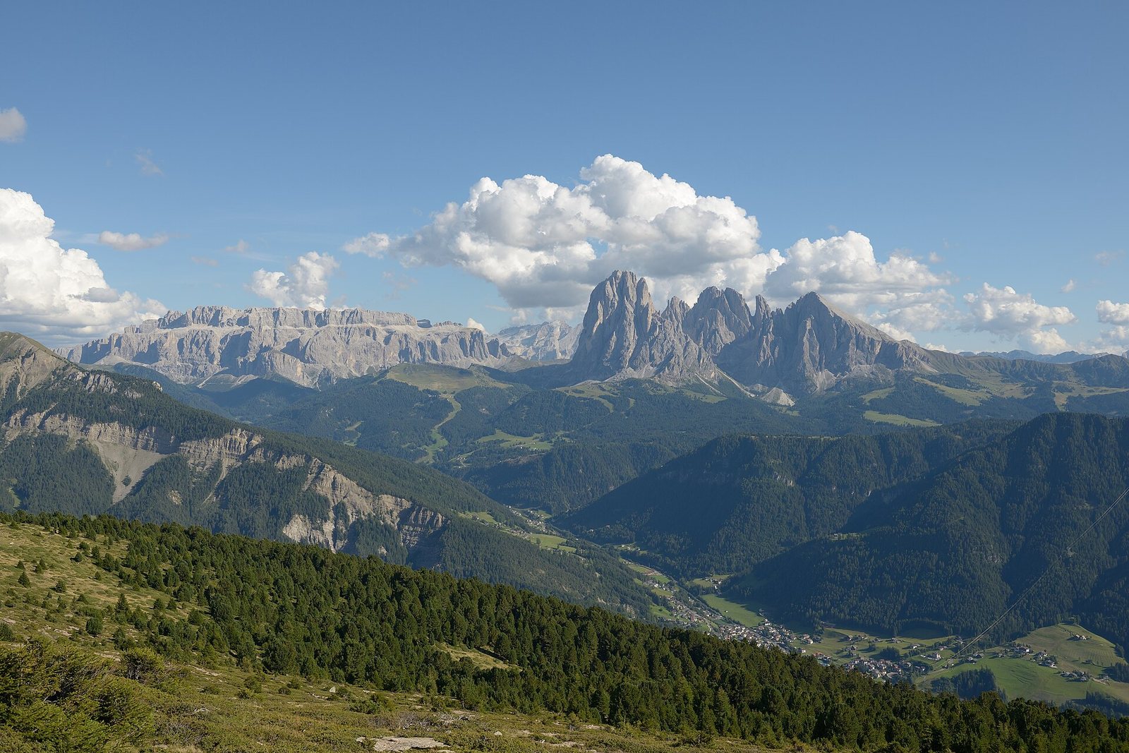 A mountain landscape shows a grassy slope with trees, forested valleys with a village, and the Sella and Saslonch mountain groups under a cloudy sky.