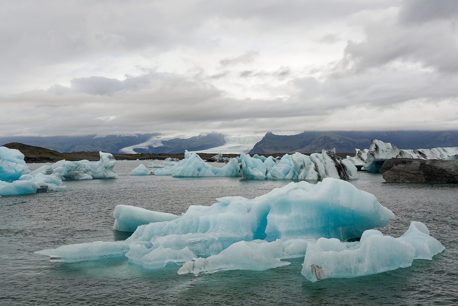 Numerous blue and white icebergs float in a body of water, with dark mountains and a distant glacier visible under an overcast sky.