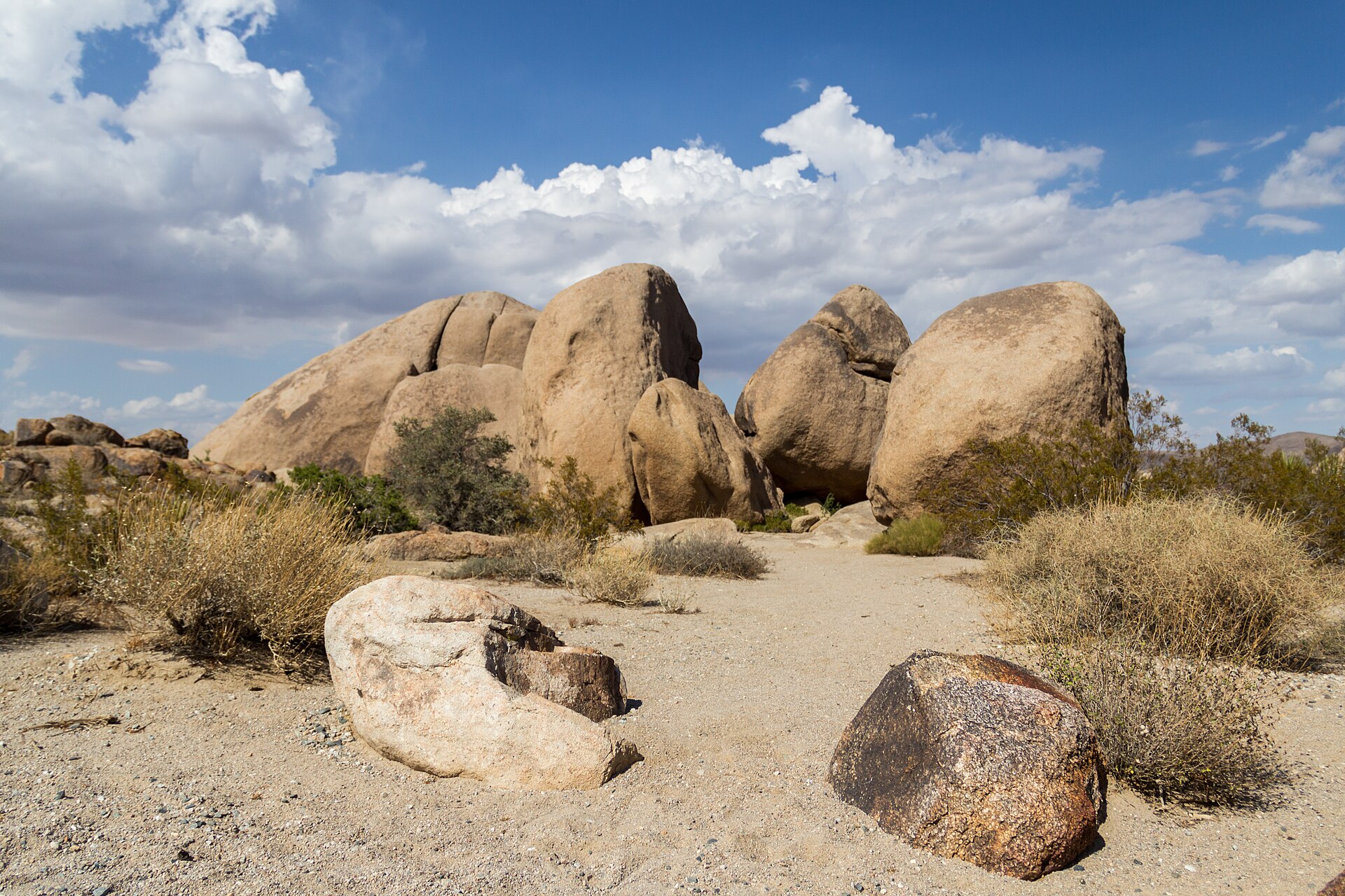 A stand of Joshua trees and piled granite boulders in the high Mojave desert of Joshua Tree National Park, California, under a wide sky at golden hour.
