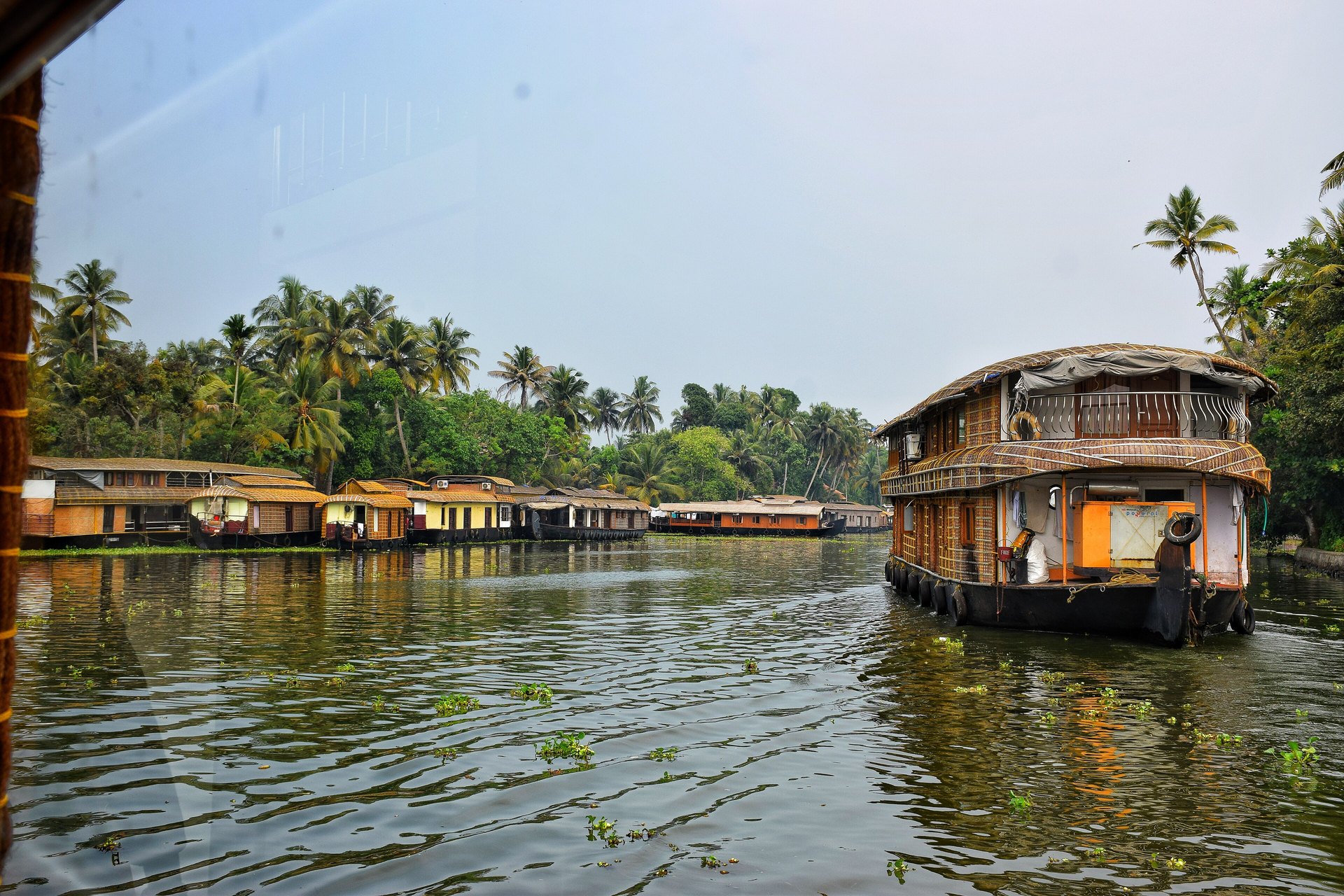 A kettuvallam houseboat with an arched cane roof gliding on still green backwater between palm-lined banks.