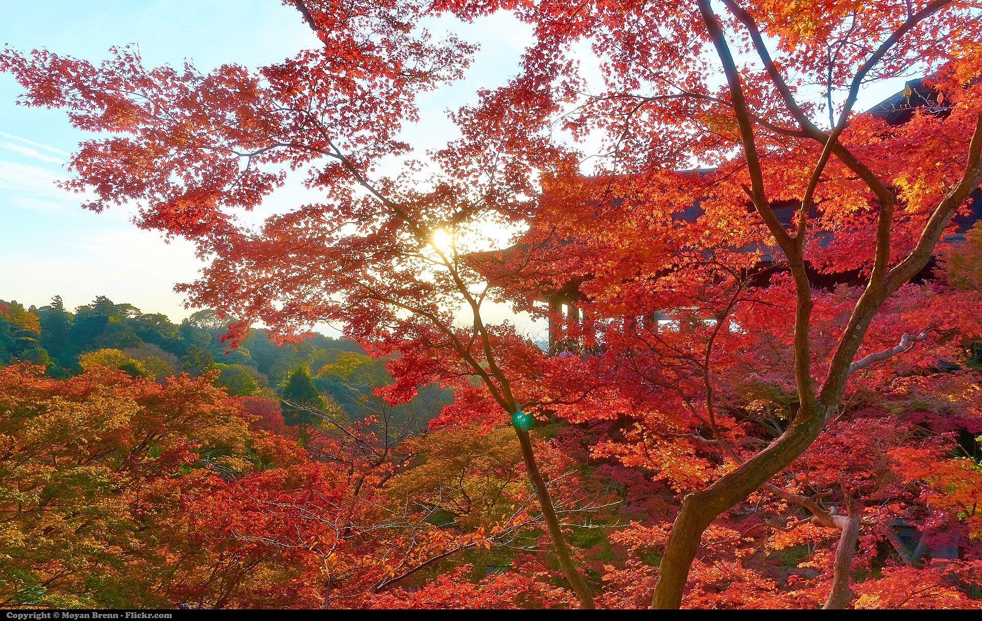 Red and orange maple leaves framing the wooden terrace of Kiyomizu-dera temple in autumn.