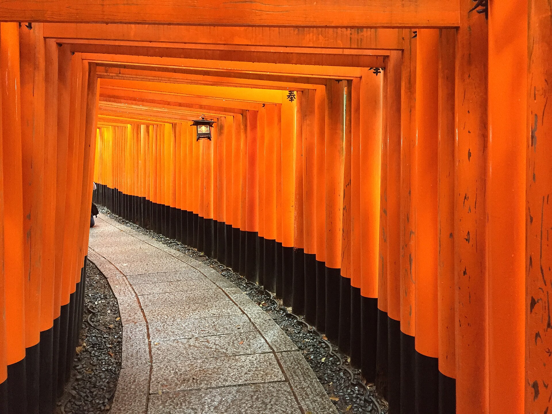 A tunnel of closely spaced vermilion torii gates on the path up Fushimi Inari shrine.