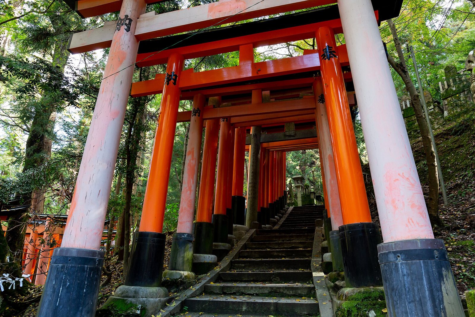 A long, upward-sloping path lined with numerous orange torii gates and stone steps, surrounded by green trees.