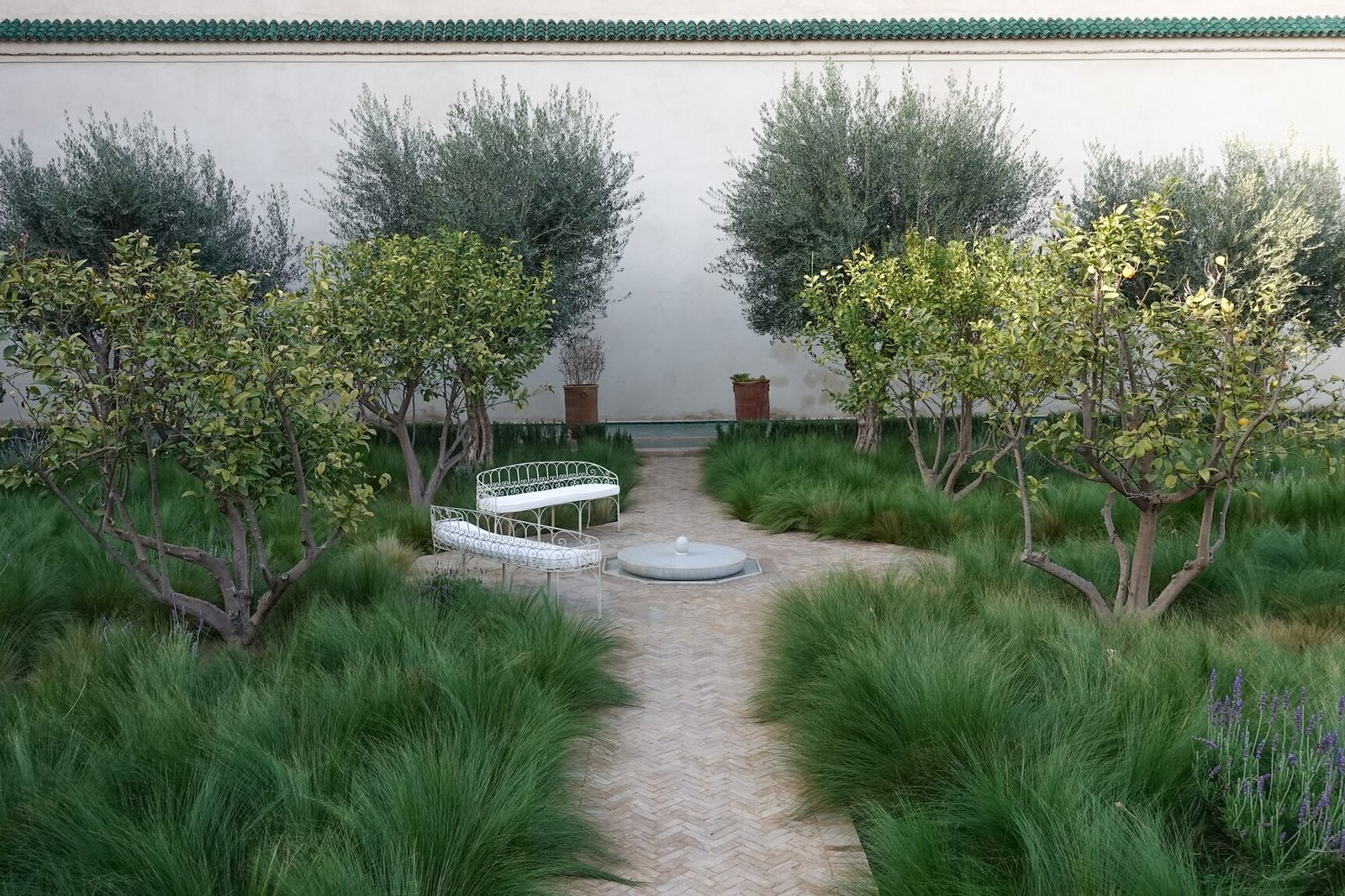 A courtyard garden with a pale paved path, a small fountain, white benches, olive and fruit trees and tall grasses beside a white wall