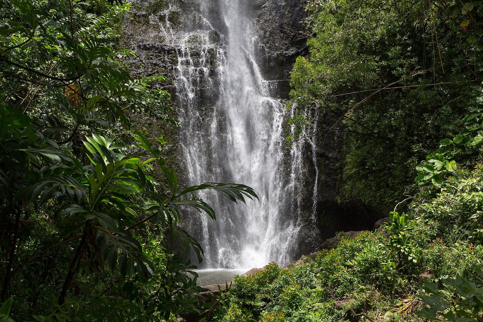 A waterfall cascades down a dark, rocky cliff face, surrounded by dense green tropical vegetation and a small pool at its base.