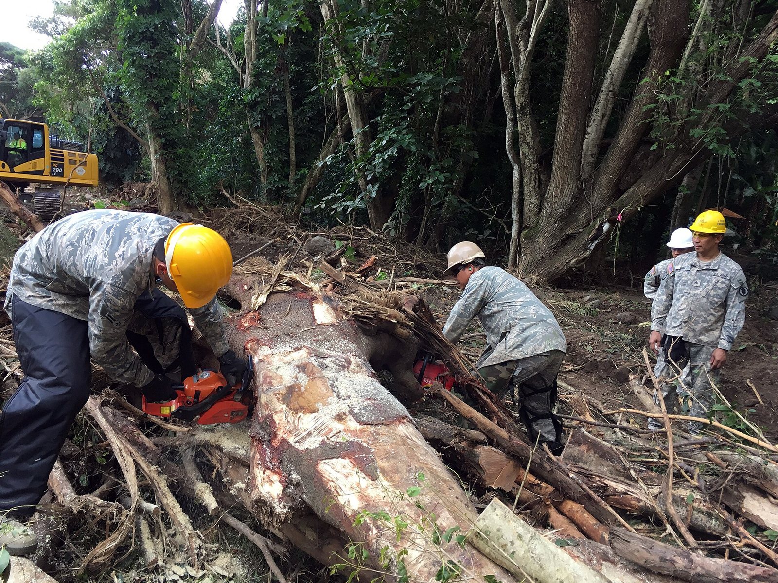 Several people in military uniforms and hard hats clear logs and branches from a wooded area, with one using a chainsaw and an excavator in the background.