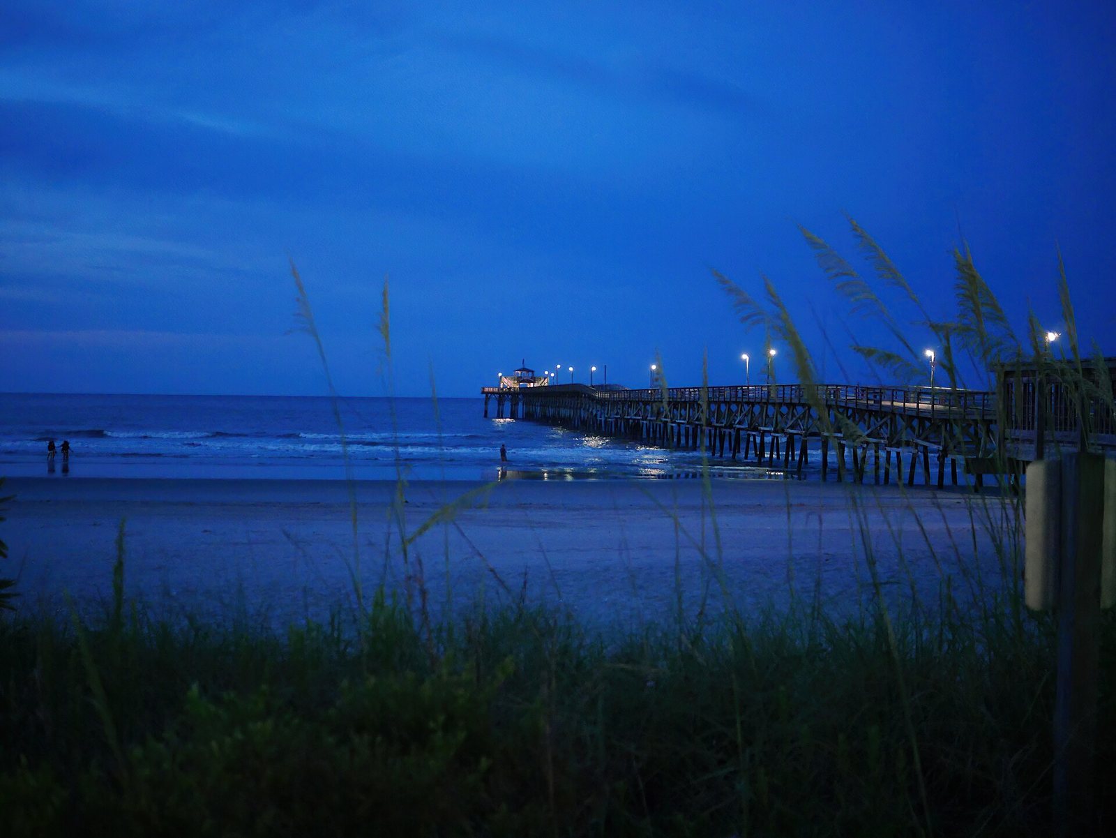 A long pier with lights extends into the ocean at dusk, with a few people on the beach and tall grasses in the foreground.