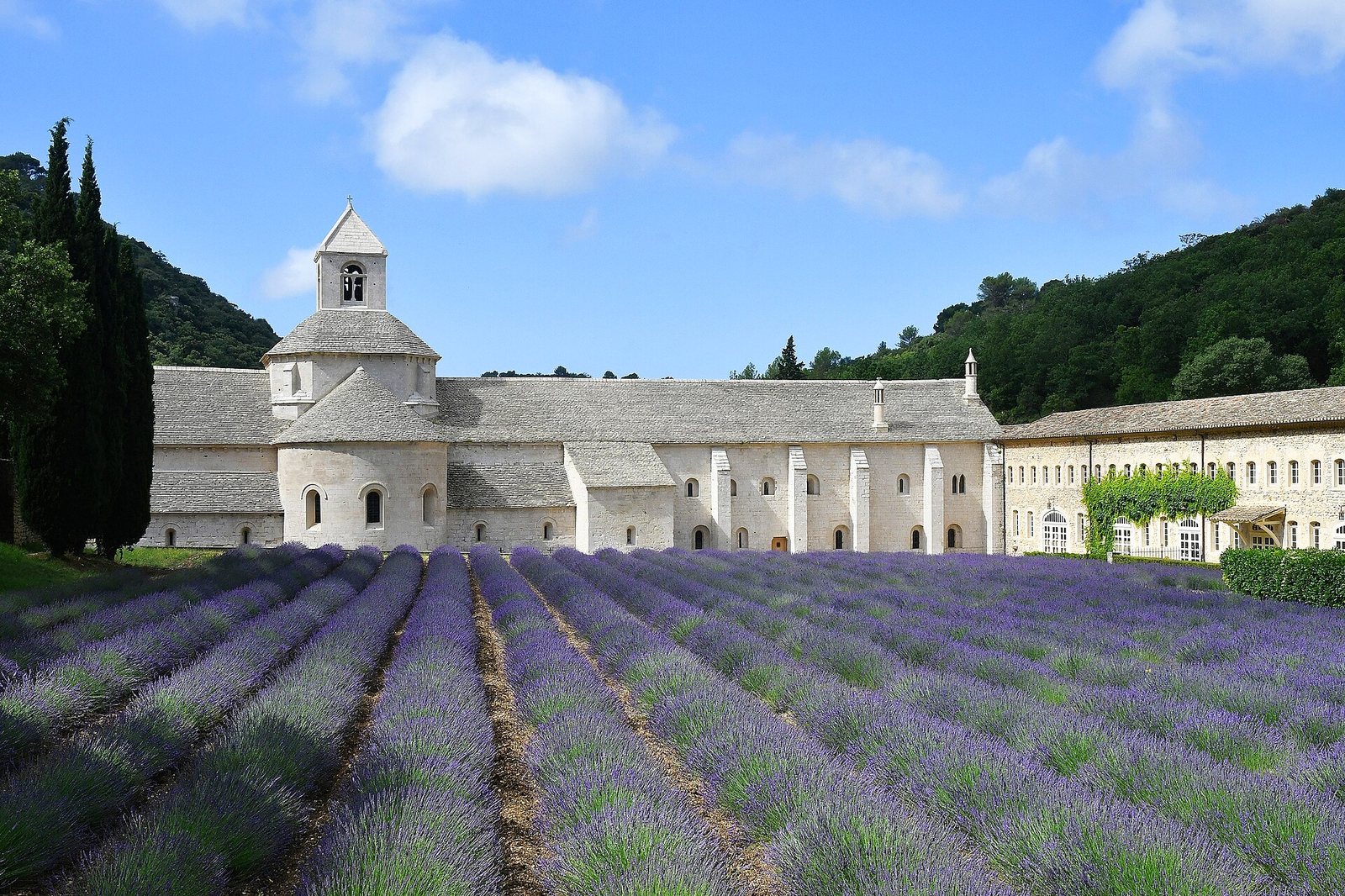 A stone abbey with a central bell tower stands behind rows of purple lavender, under a blue sky with white clouds and green hills in the background.