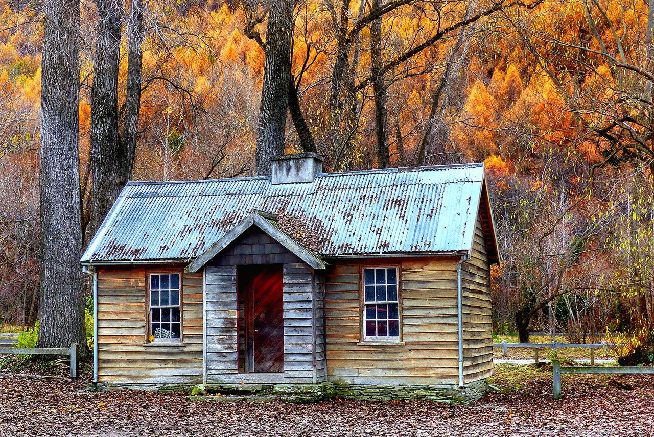 A small timber cottage with a blue-green iron roof and a red door standing under trees in bright autumn leaves in Arrowtown