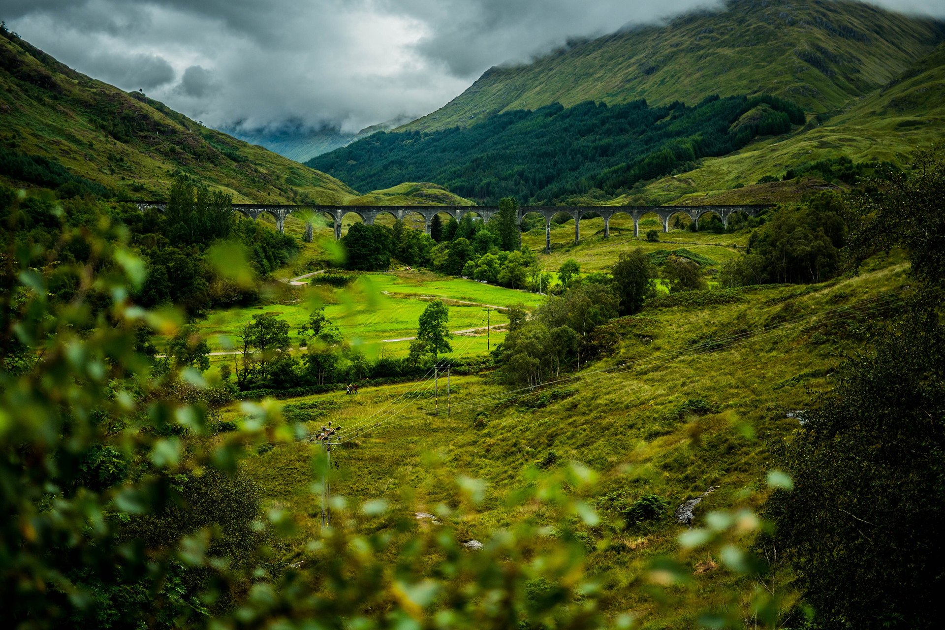 The curved stone arches of the Glenfinnan Viaduct crossing a green glen under dark clouds, seen through foliage