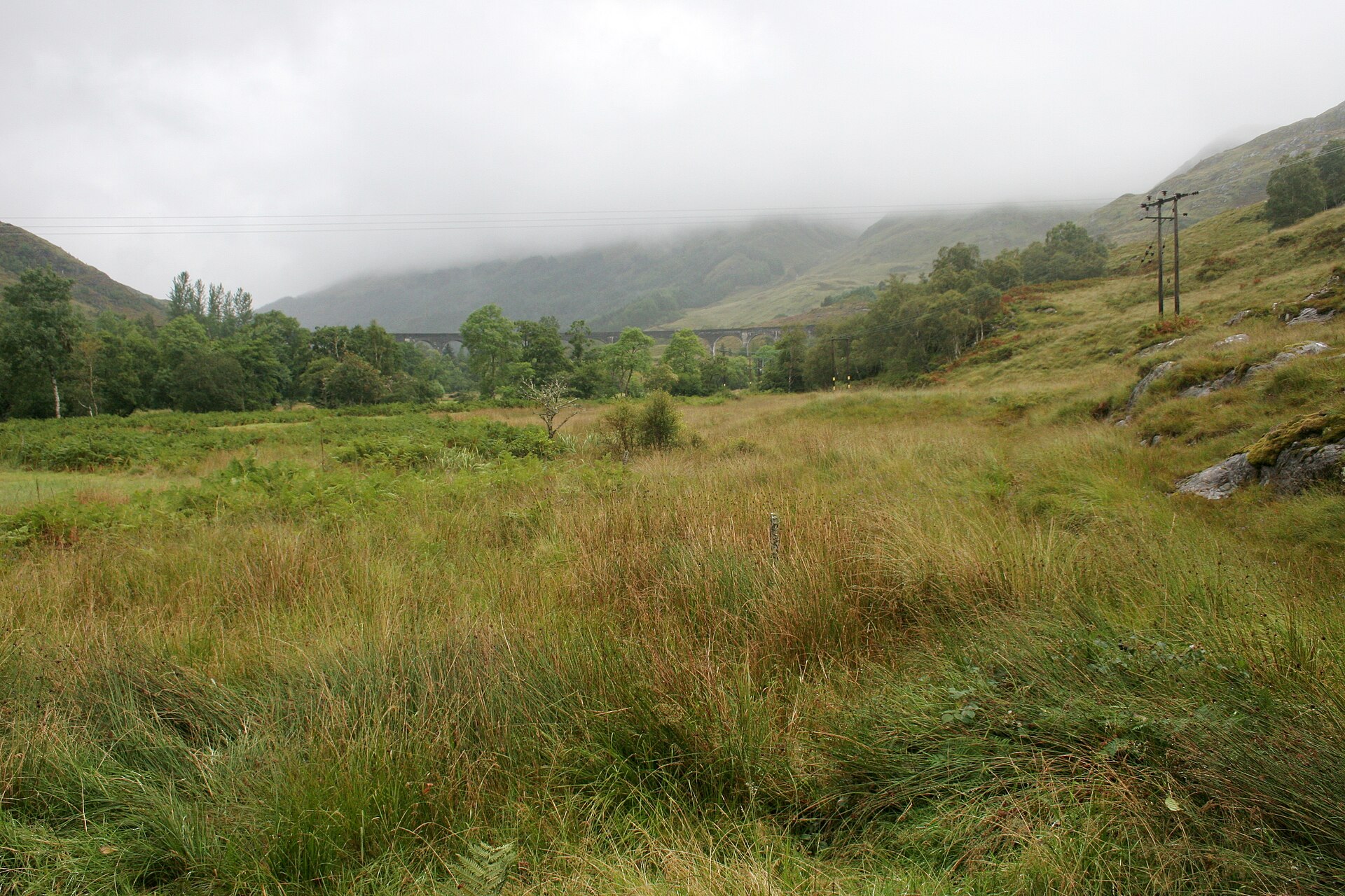 A steam train crossing the curved stone arches of the Glenfinnan Viaduct above a green glen.