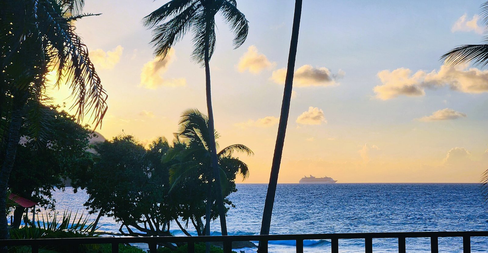 A cruise ship leaving Frederiksted at sunset, seen from the shore between palm trees and a railing.