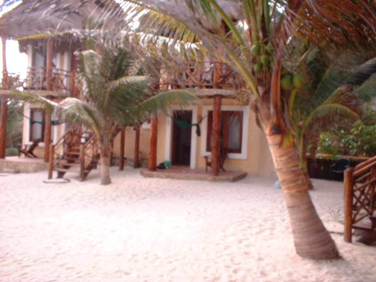 Thatched-roof beachfront cabanas among palm trees on the sand along the Tulum beach road