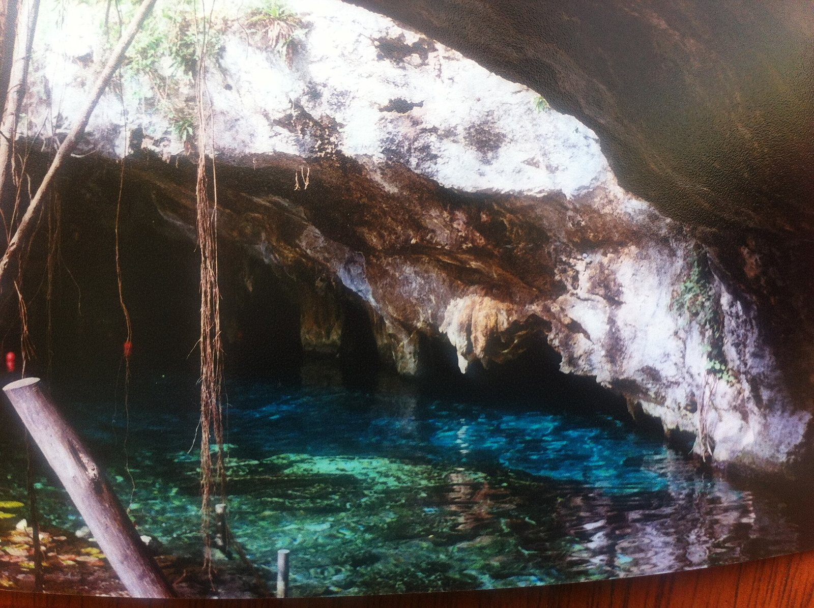 A cave opening reveals clear blue-green water, with rock formations, hanging roots, and a wooden log in the foreground.