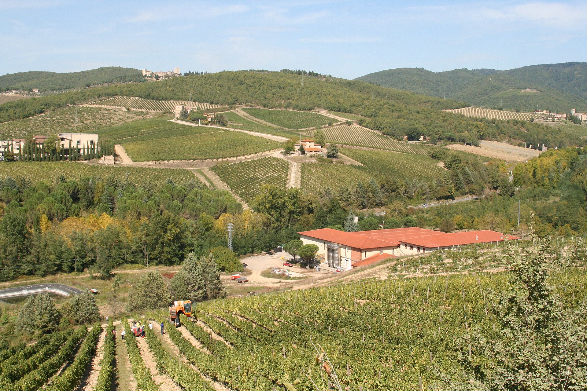 Rows of vines on a Chianti hillside in Tuscany with a stone farmhouse beyond
