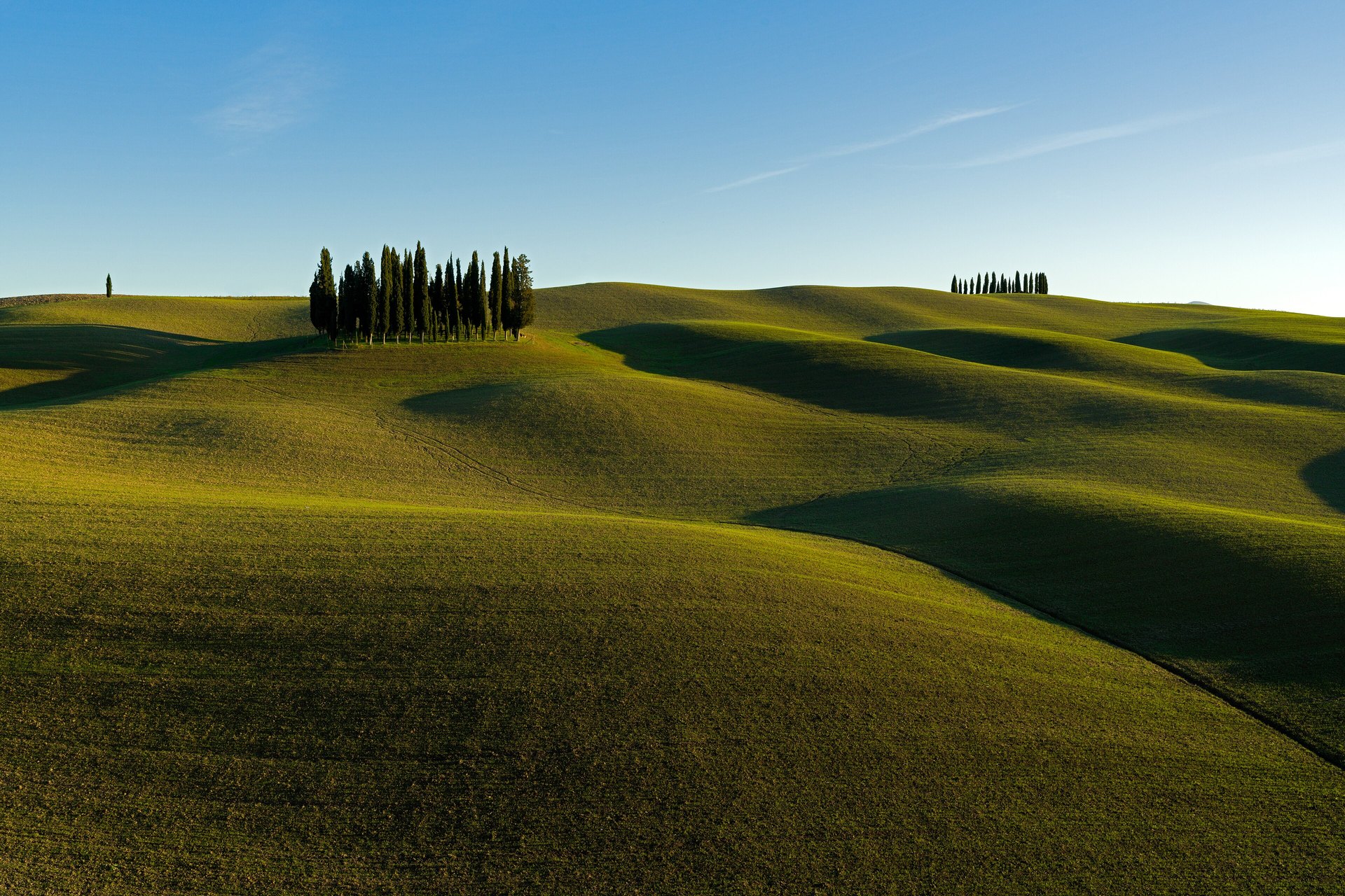 A cypress-lined gravel road climbing through the hills of the Val d'Orcia in southern Tuscany