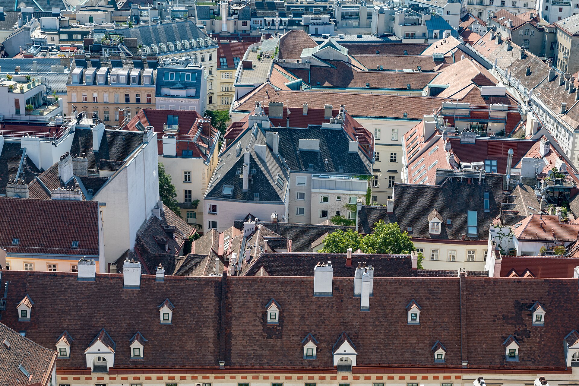 The steep patterned tile roof and tall Gothic south tower of St Stephen's Cathedral seen from below.