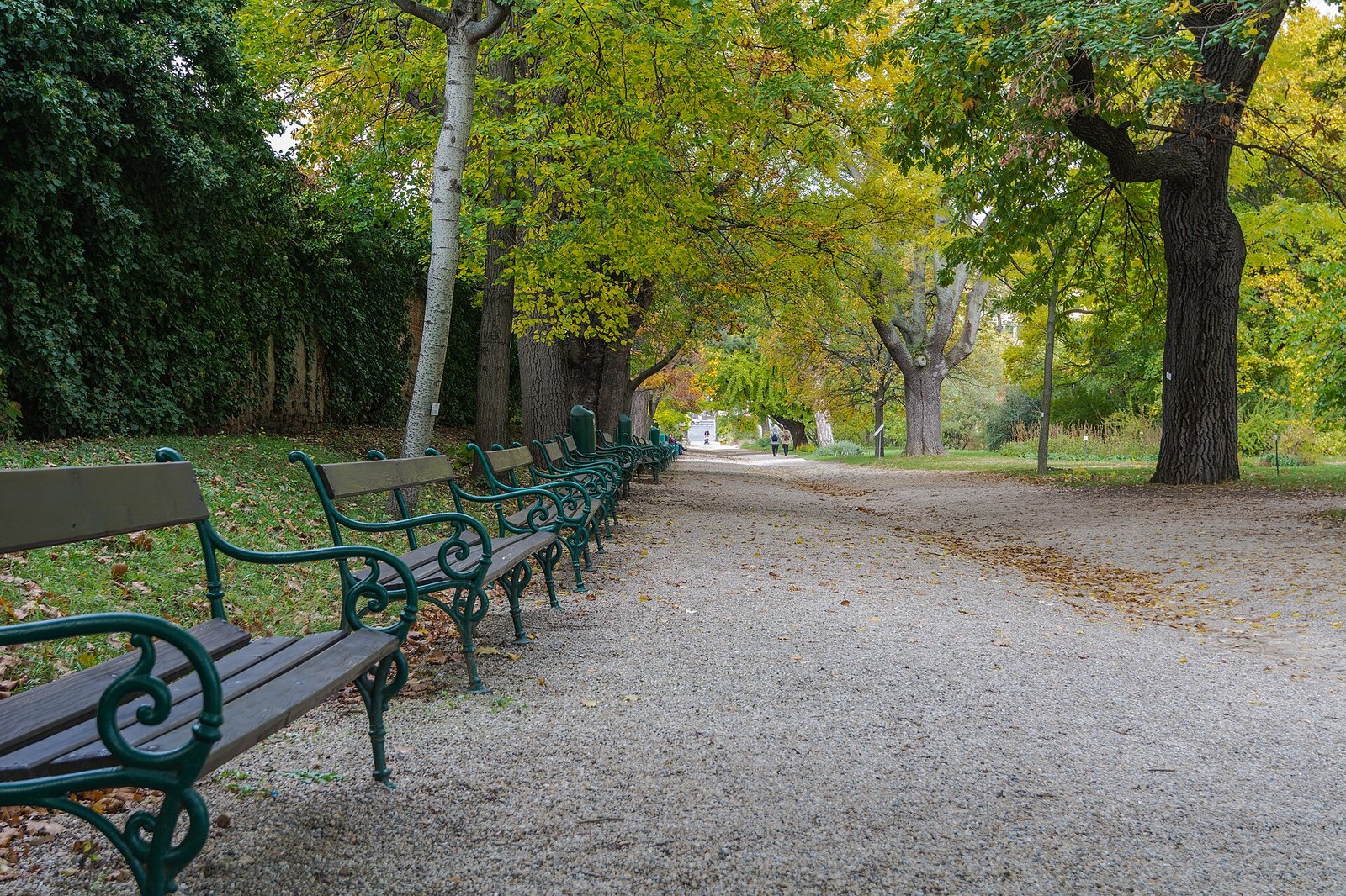 A gravel path lined with green benches under yellow and green autumn trees in a park