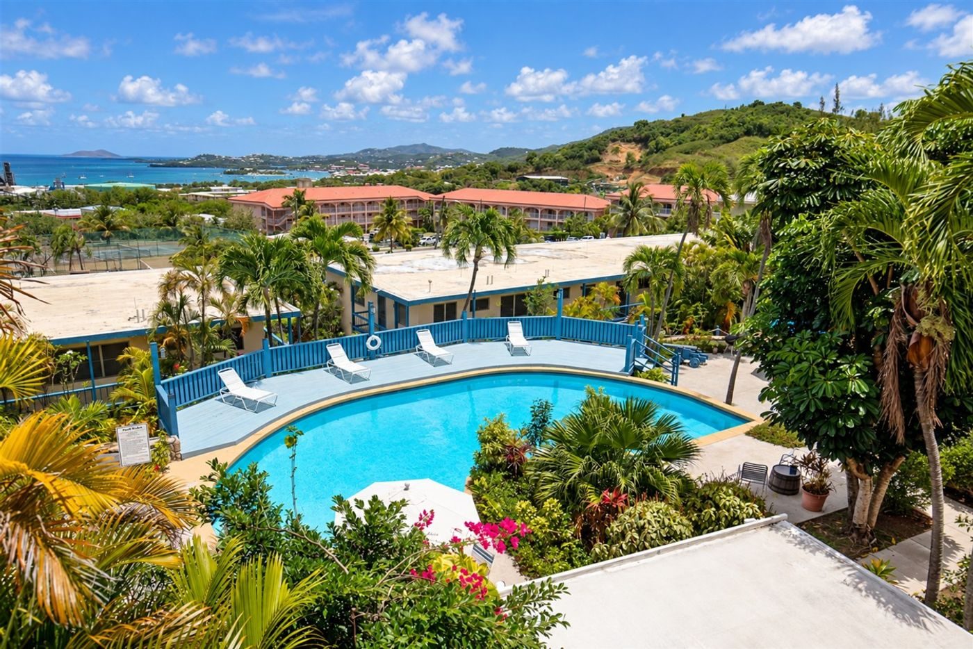 Kidney-shaped pool among palms and flowering shrubs, with the hills and the sea in the distance