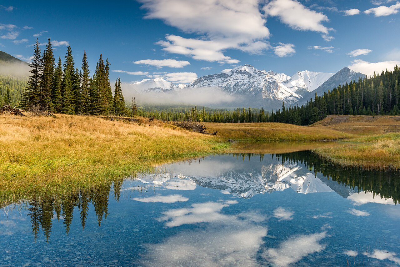 A serene landscape with a calm lake reflecting snow-capped mountains and a blue sky with white clouds, framed by pine trees and golden grass.