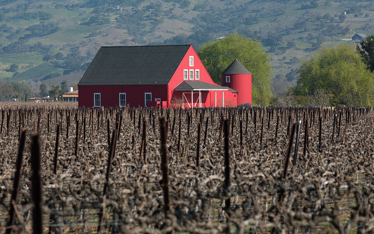 A red barn with white trim and a small round tower beyond rows of bare, pruned grapevines, with hazy hills in the background.