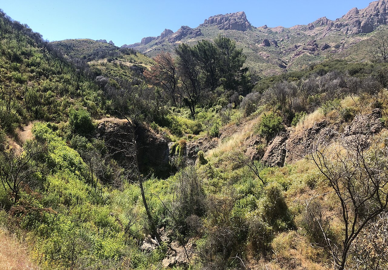 A steep ravine thick with green scrub and small trees, with bare rocky peaks rising behind under a blue sky.