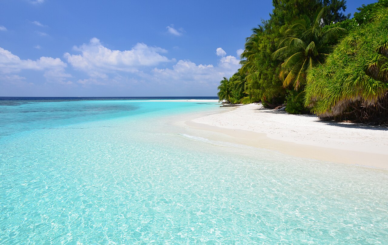 A pristine white sand beach meets clear turquoise water, with lush green palm trees lining the shore under a blue sky.