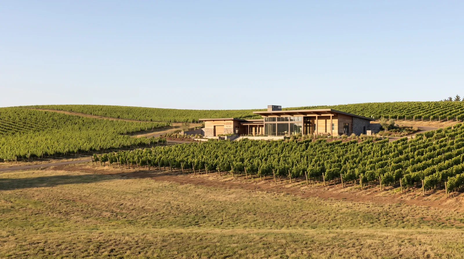 Winery building in rolling vineyards under a clear sky.