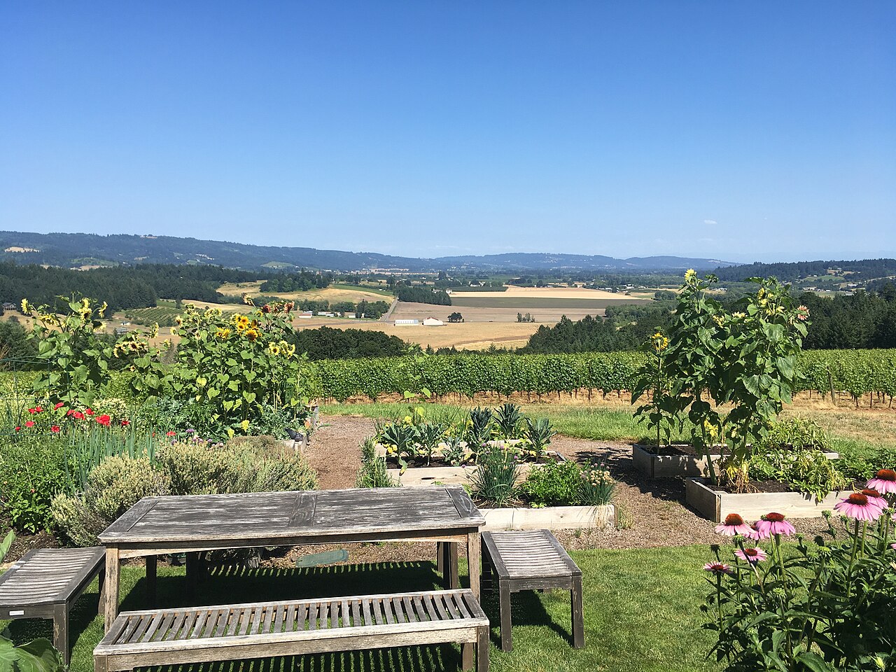 Raised garden beds with flowers and a wooden picnic table in the foreground, with vineyards, fields and low wooded hills stretching away under a clear sky.