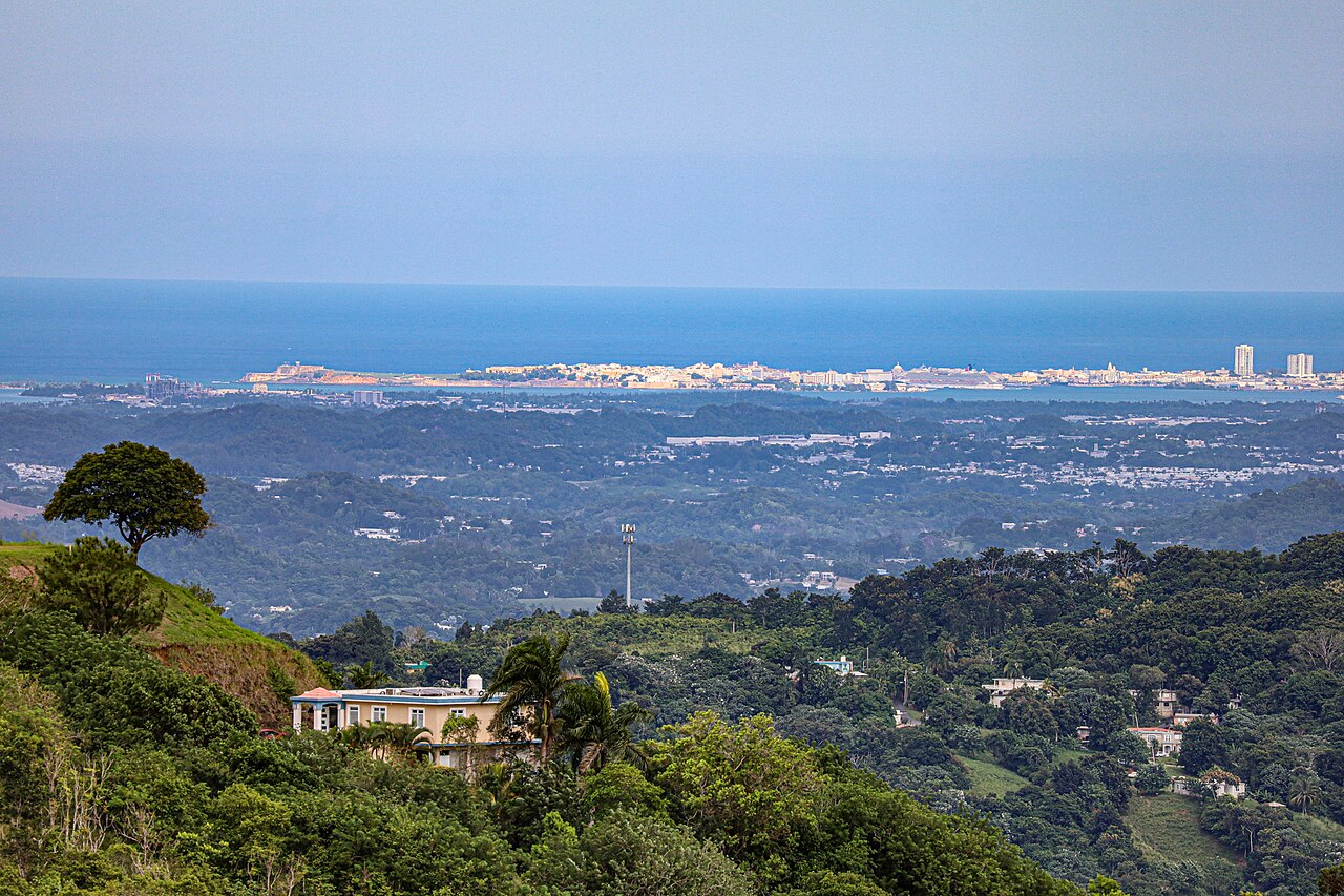 A distant view of a city along a coastline, with a large body of water in the background and lush green hills in the foreground.