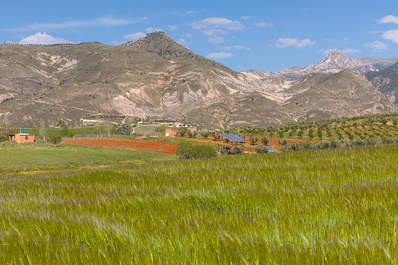 A wide shot of a green field in the foreground, with rolling hills and mountains under a blue sky in the background.