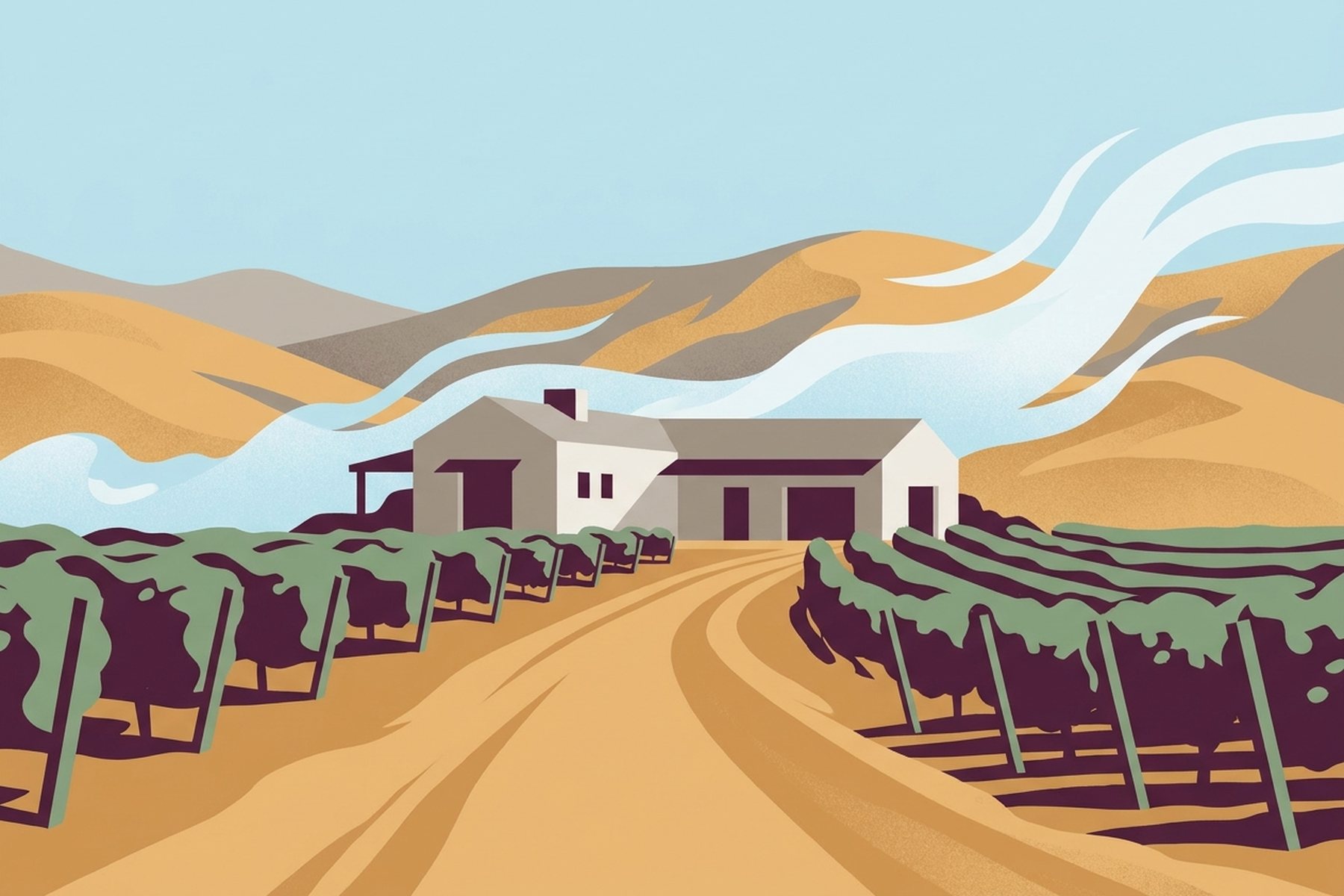 A drawing of a contemporary guesthouse with a flat roof, surrounded by rows of grapevines under a bright, clearing sky.